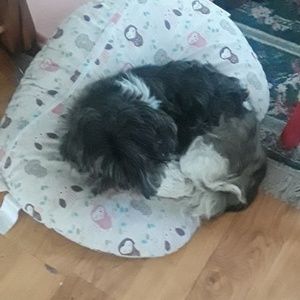 Meet your Posher, Judith